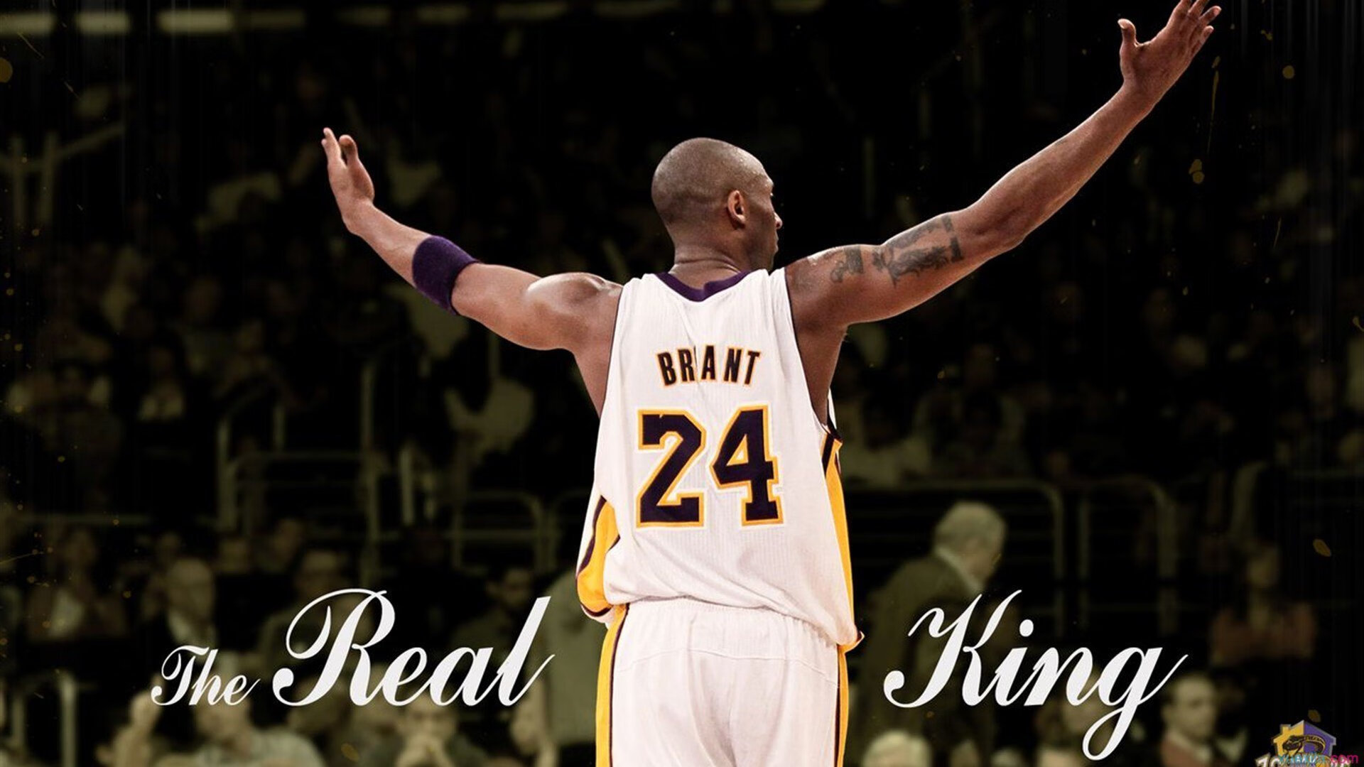 Kaiyun(中国)开云-“2025世界游泳锦标赛：游泳项目的竞技与娱乐双重魅力”