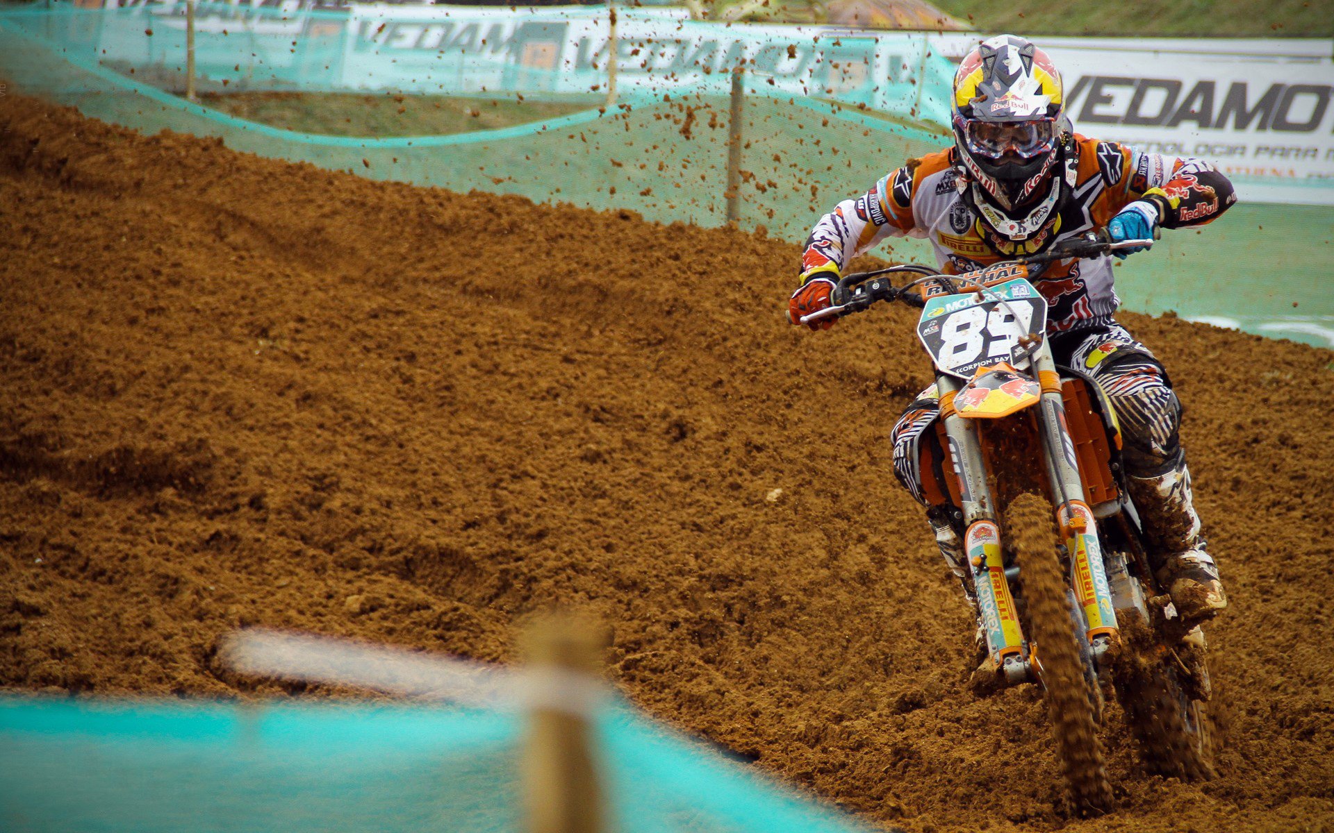 “2025世界游泳锦标赛：游泳项目的竞技与娱乐双重魅力”